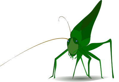Grasshopper clipart