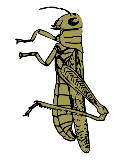 Grasshopper color clipart