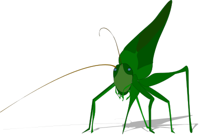 Grasshopper with shadow clipart