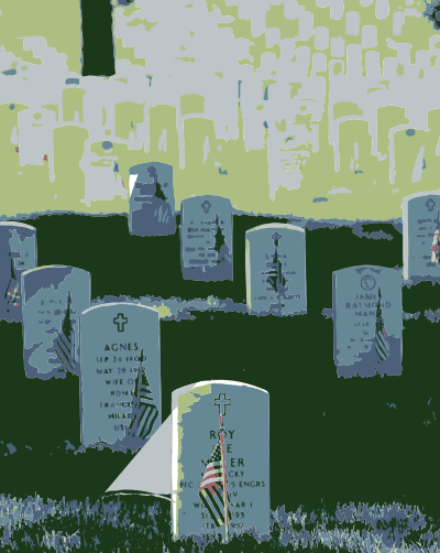 Graves at Arlington on Memorial Day Colorized clipart