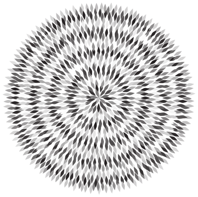 Grayscale Abstract Flower Petals clipart