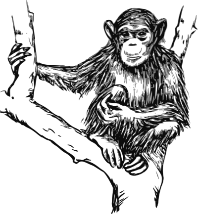 Grayscale chimpanzee clipart