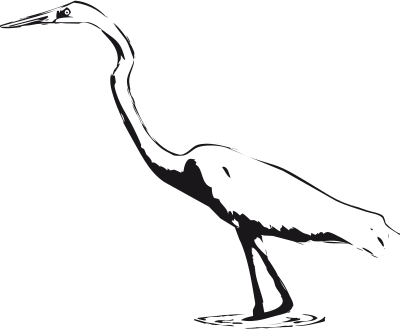 Great Egret clipart