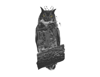 Great Horned Owl clipart