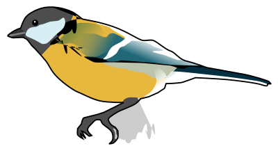 Great Tit clipart