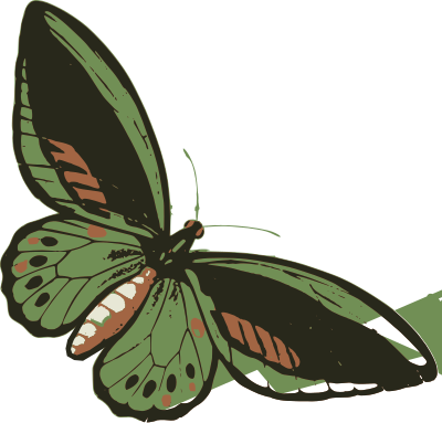 Green Butterfly clipart