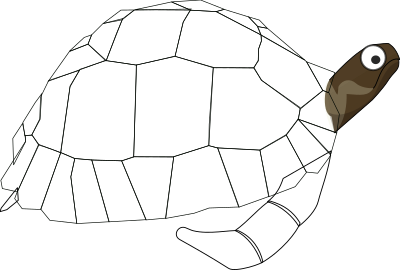 Green cartoon turtle clipart