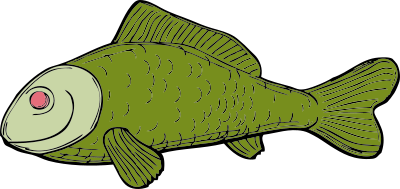 Green fish clipart
