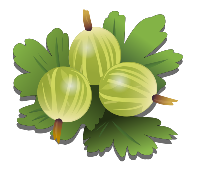 Green gooseberrys clipart