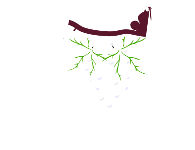 Green Grapes clipart