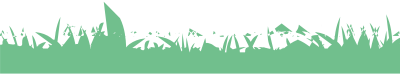 Green Grass clipart