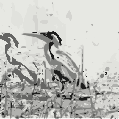 Green heron clipart
