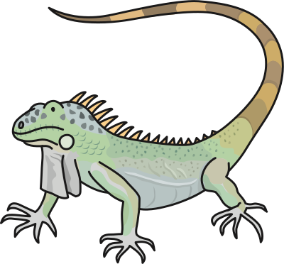 Green Iguana clipart