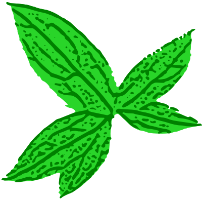Green Leaf clipart