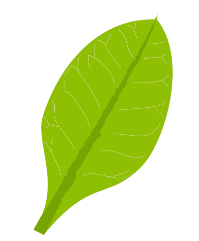 Green Leaf clipart