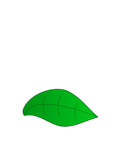 Green leaf clipart