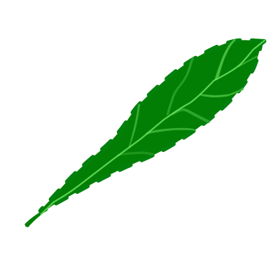 Green leaf 2 clipart