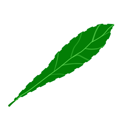 Green leaf 2, textured clipart