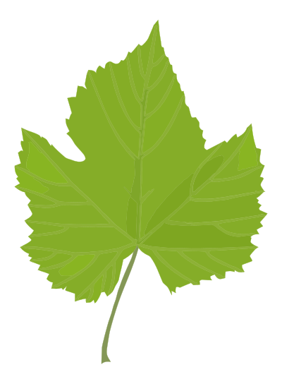 Green Leaf clipart