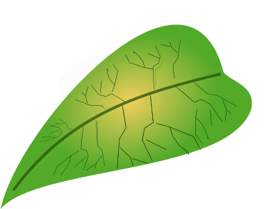 Green leaf clipart