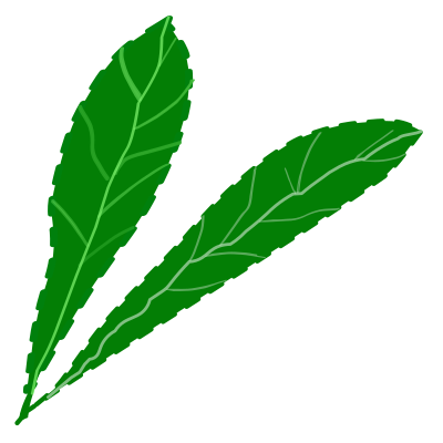 Green leaves clipart