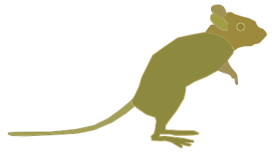 Green Mouse clipart