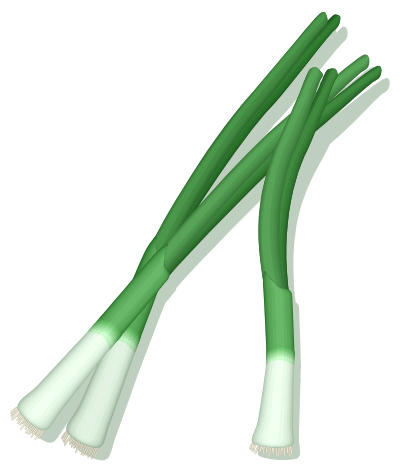 Green onions clipart