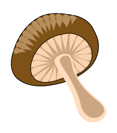 Green - orange mushroom clipart