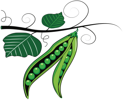 Green Peas clipart
