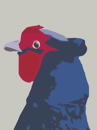 Green pheasant-head clipart
