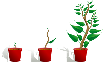 Green plant in its pot in three different phases of growth clipart