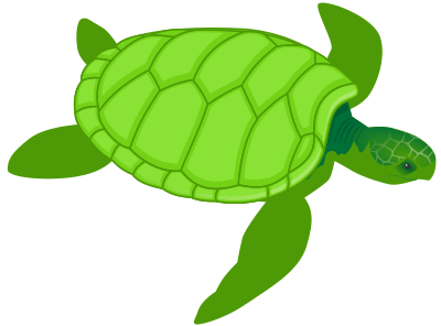 Green sea turtle clipart