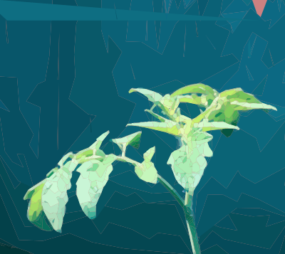 Green Sprout clipart