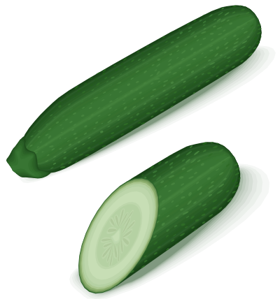 Green zucchini clipart