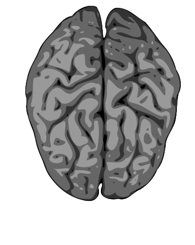 Grey brain clipart