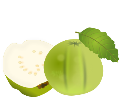 Guava clipart