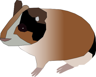Guinea pig clipart