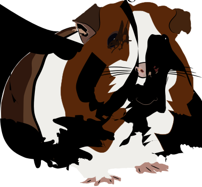 Guinea pig clipart