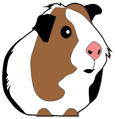 Guinea Pig Illustration clipart