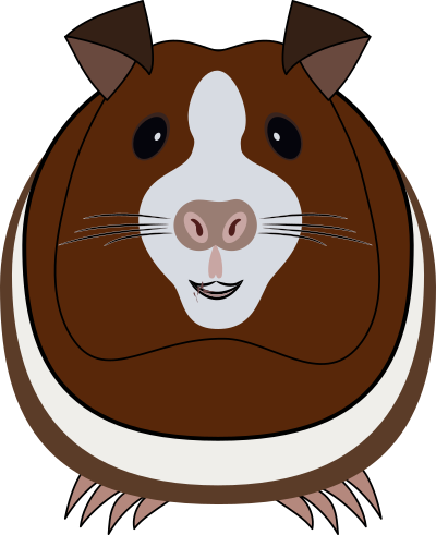 Guinea pig synthesis clipart