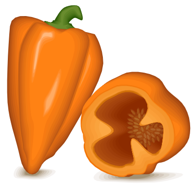 Habanero clipart