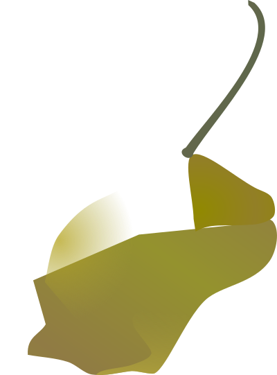 Habanero pepper simple clipart
