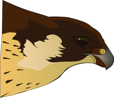 Halcón-Hawk clipart