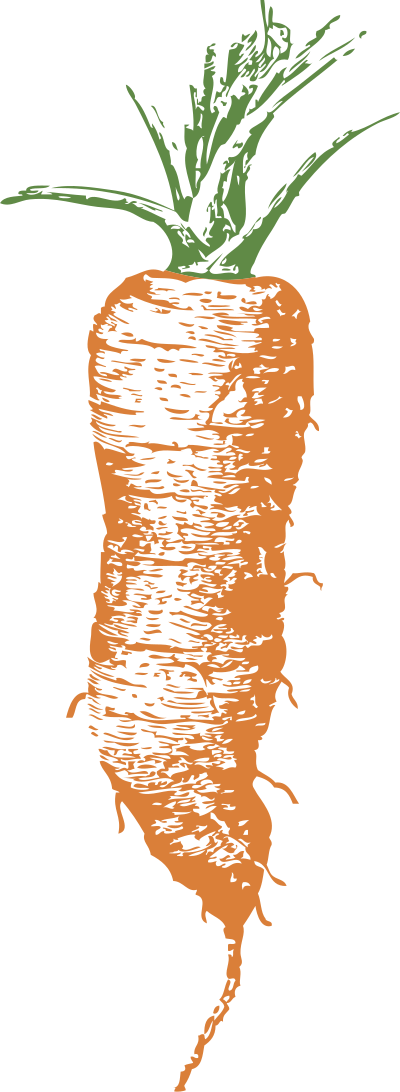 Half long carrot clipart