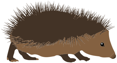 Hedgehog clipart