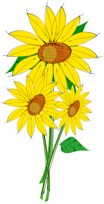 Helianthus clipart