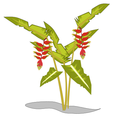 Heliconia clipart