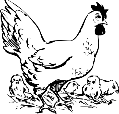 Hen and chickens clipart