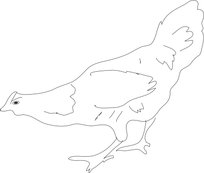 Hen Outline clipart