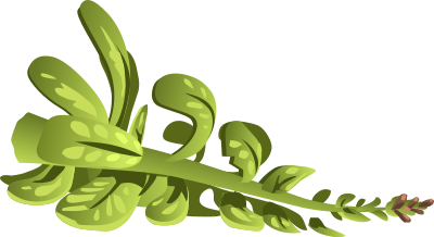 Herbs Rubeweed clipart
